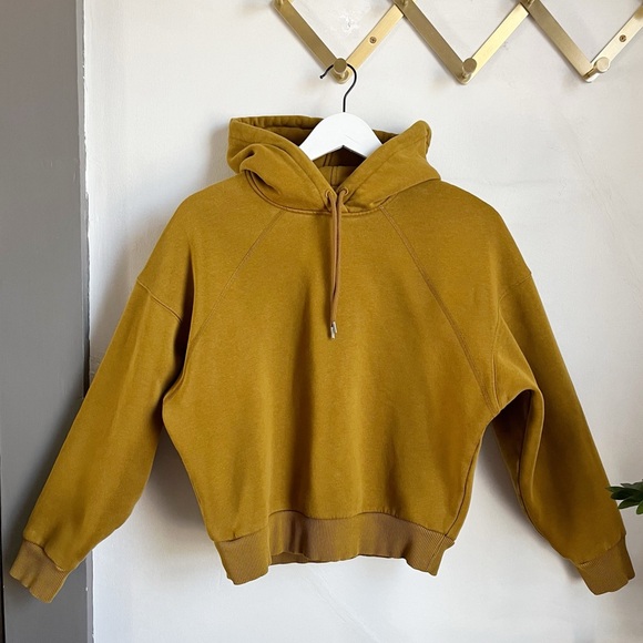 Everlane Sweaters - Everlane ReNew Hoodie